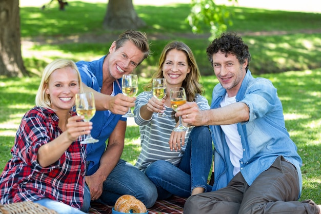 Vrienden die een picknick met wijn hebben