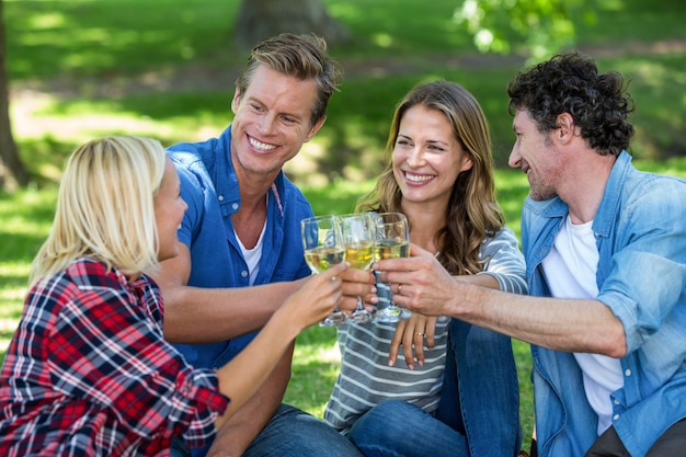 Vrienden die een picknick met wijn hebben