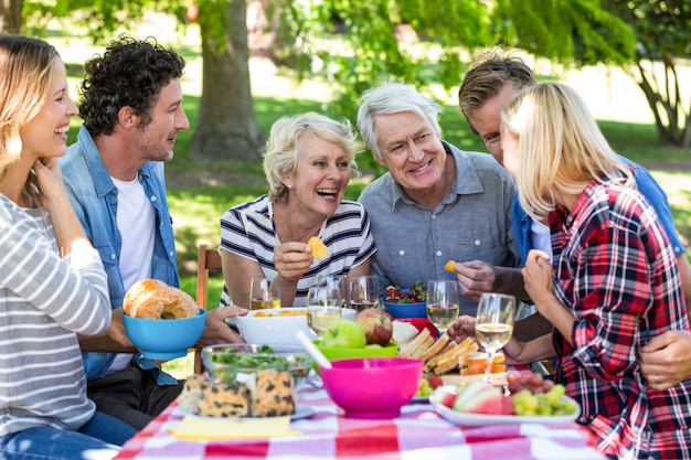 Vrienden hebben een picknick