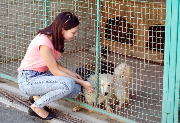 Vrijwilliger meisje in de kinderkamer voor honden. Opvang voor zwerfhonden.