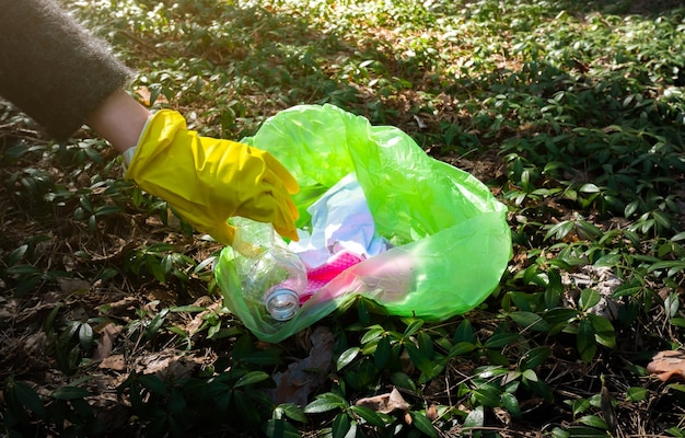 Vrijwilligers ruimen het afval in het park op. Plastic fles rond de bomen in het bos. Puin, plastic afval. Milieuvervuiling. Ecologisch probleemconcept. Stop afval en rommel op de natuur.