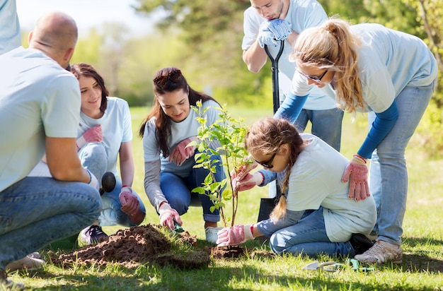 vrijwilligerswerk, liefdadigheid, mensen en ecologisch concept - groep gelukkige vrijwilligers die bomen planten in het park