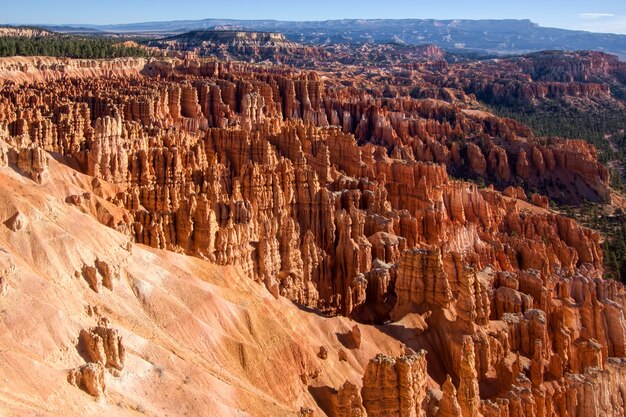 Vroeg in de ochtend in Bryce Canyon