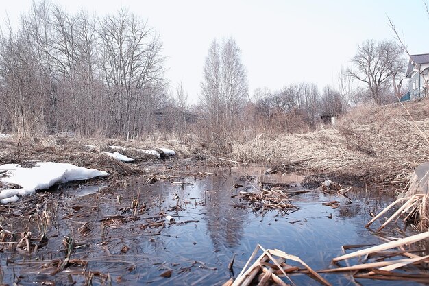 vroege lente in het bos / bomen zonder bladeren, sneeuw smelt, grijs triest bospark in de lente