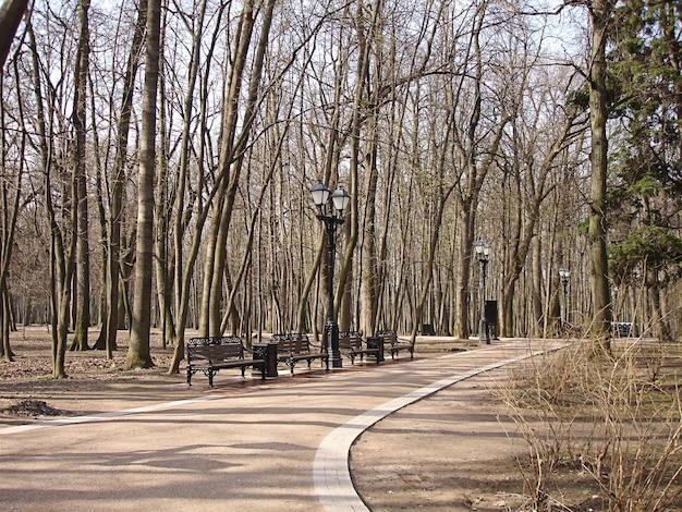 Vroege lente in het park