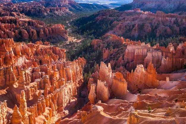 Vroege ochtend in Bryce Canyon