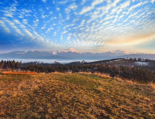 Vroege ochtend lente karpaten