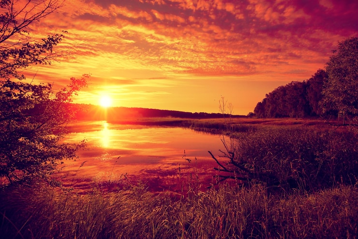 Foto vroege ochtendzonsopgang boven het meer mistige ochtend landelijk landschap wildernis mystiek gevoel