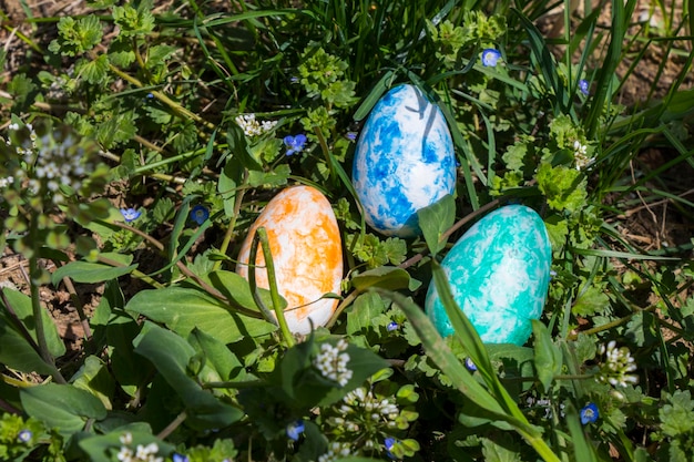 Vrolijk Pasen kleurrijke eieren en bloemen Gras en land