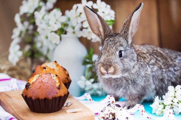 Vrolijk pasen - konijntje met een mand met eieren en cupcakes op de achtergrond van kersenbloesems