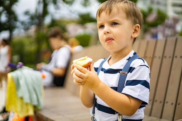 Vrolijke broertjes wandelen op kinderachtige sportspeeltuin ontspannen vers fruit eten