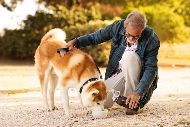 Vrolijke Europese oude man in casual geniet van wandelen met hond giet water op bord