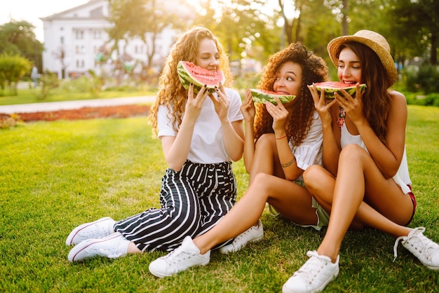 Vrolijke gelukkige vrienden die op het gras kamperen en watermeloen eten lachen
