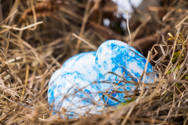 Vrolijke kleurrijke paaseieren in nest