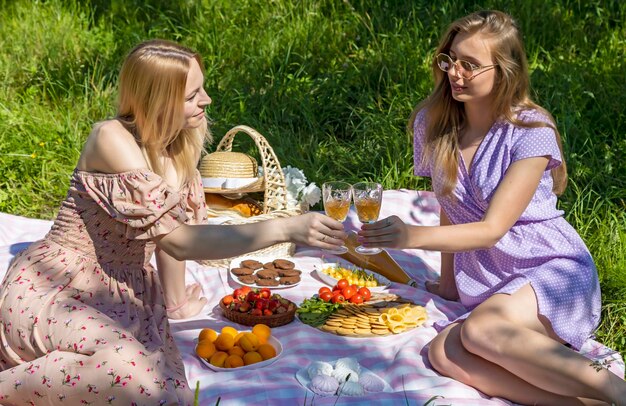 Vrolijke meisjes vieren het weekend in het park gelukkige vrouwen drinken wijn en proeven heerlijke zoetigheden Focus op het meisje aan de linkerkant