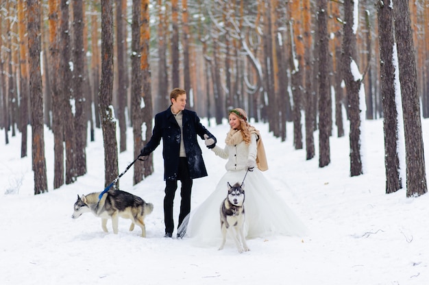 Vrolijke pasgetrouwden wandelingen op het parcours in het besneeuwde bos met twee Siberische honden.