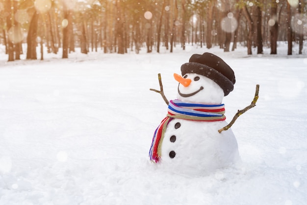 Vrolijke sneeuwpop in een besneeuwd stadspark. Kersttafereel met traditioneel winterplezier voor kinderen. Ruimte voor tekst kopiëren