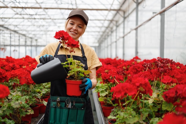 Vrolijke vrouw bloemenkas werknemer planten water geven in potten