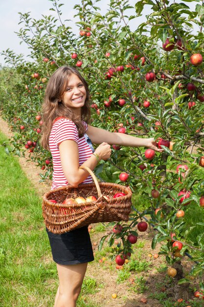 Vrouw appels plukken