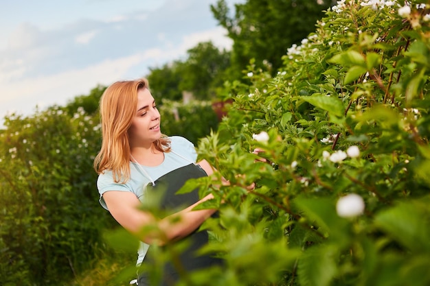 Vrouw boer aan het werk in fruittuin Bioloog inspecteur onderzoekt bramenstruiken