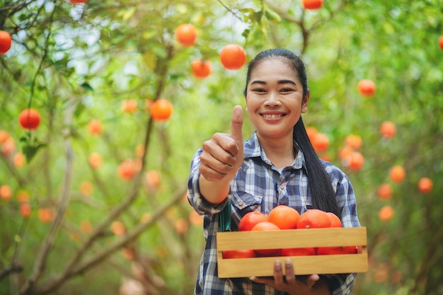 Vrouw boer oranje met duim omhoog, de tuinman verzamelt sinaasappel in mand bij zonnige oranje tuin