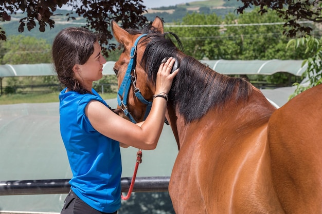 Vrouw borstelt manen van paard