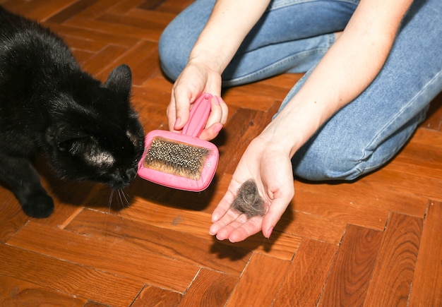 Vrouw borstelt zwarte kat. Huisdierverzorging. Bont afstoten. Gelukkig dier.