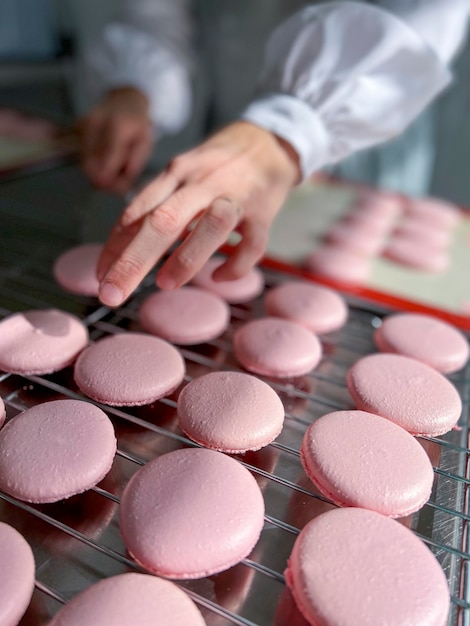 Vrouw chef-kok macarons maken Stockafbeelding