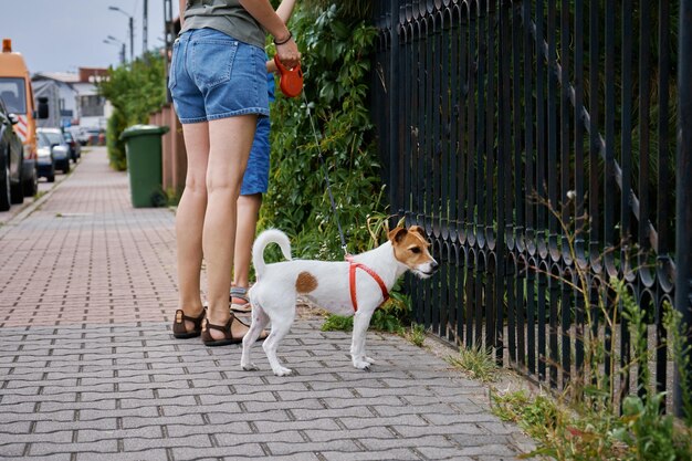 Vrouw die bij stadsstraat met hond loopt