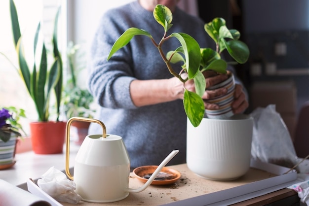 Vrouw die een bloem plant en voorjaarsschoonmaak.