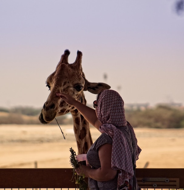 Vrouw die giraffe tegen de lucht aanraakt