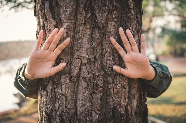 Foto vrouw die grote boom, conceptenaard en menselijk beschermen milieu koestert