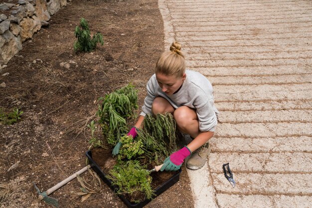 Foto vrouw die in de tuin planten plant