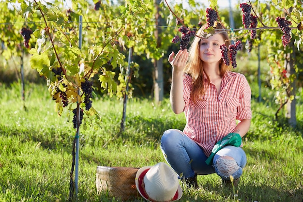 Vrouw die in een wijngaard werkt