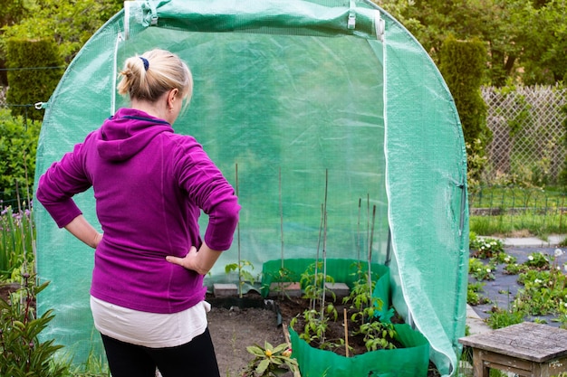 Vrouw die kleine huiskassen bekijkt Het concept om uw eigen groenten te runnen