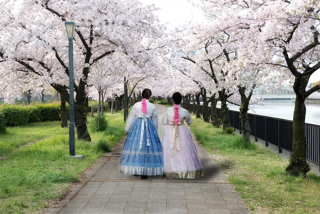 vrouw die Koreaanse nationale kleding draagt die in park en kersenbloesem loopt in Seoel, Zuid-Korea.