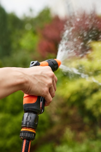 Vrouw die plant in de tuin in de zomer water geeft