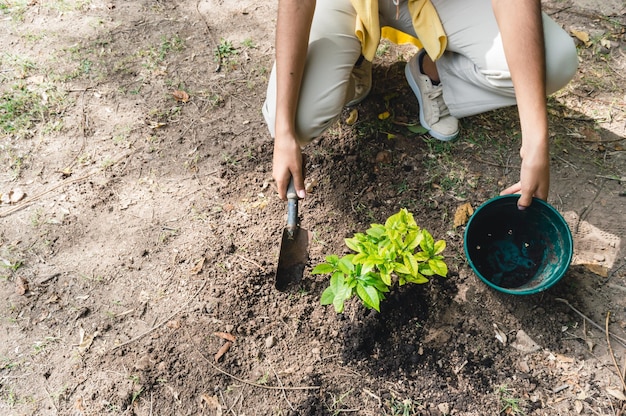 Vrouw die samenwerkt met het planten van bomen in de kopieerruimte van een openbaar park