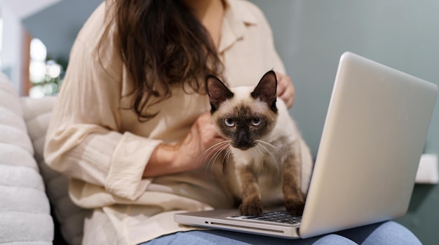 Vrouw die van huis met kat werkt kat in slaap op de laptop toetsenbord assistent kat die op Laptop werkt