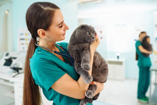 Vrouw dierenarts onderzoekt kat op tafel in veterinaire kliniek Gezondheidszorg geneeskunde behandeling van huisdieren