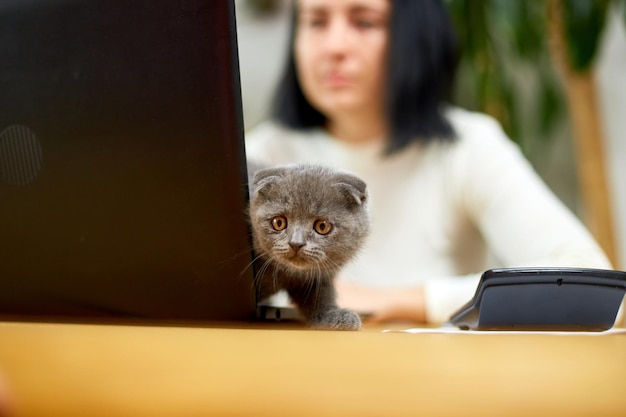 Vrouw draagt comfortabele stijl werkt op een zwarte notebook-laptop en kitten ligt op tafel