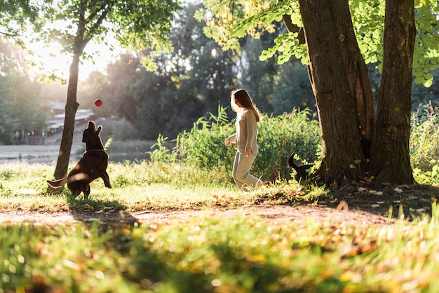 Foto vrouw en het spelen van labrador met bal in park