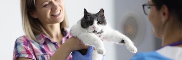 Vrouw en huiskat bij dierenkliniek