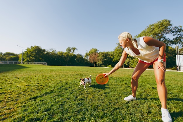 Vrouw gooit oranje vliegende schijf naar kleine grappige hond, die hem op groen gras vangt. Kleine Jack Russel Terrier huisdier buiten spelen in het park. Hond en eigenaar op open lucht.