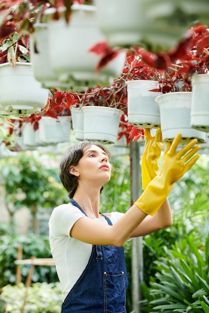 Vrouw groeiende bloemen voor verkoop