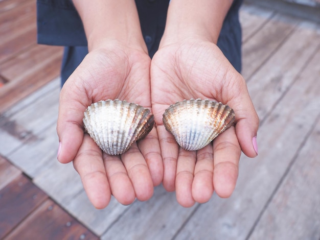 Vrouw hand met grote kokkel