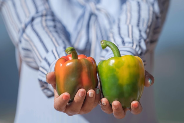 Foto vrouw hand met verse biologische paprika