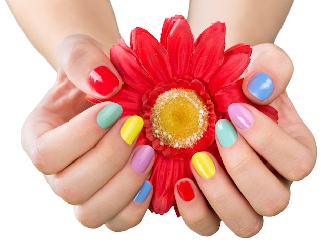 Vrouw handen met heldere manicure en bloem, geïsoleerd op wit