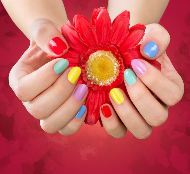 Vrouw handen met heldere manicure en bloem, isolated