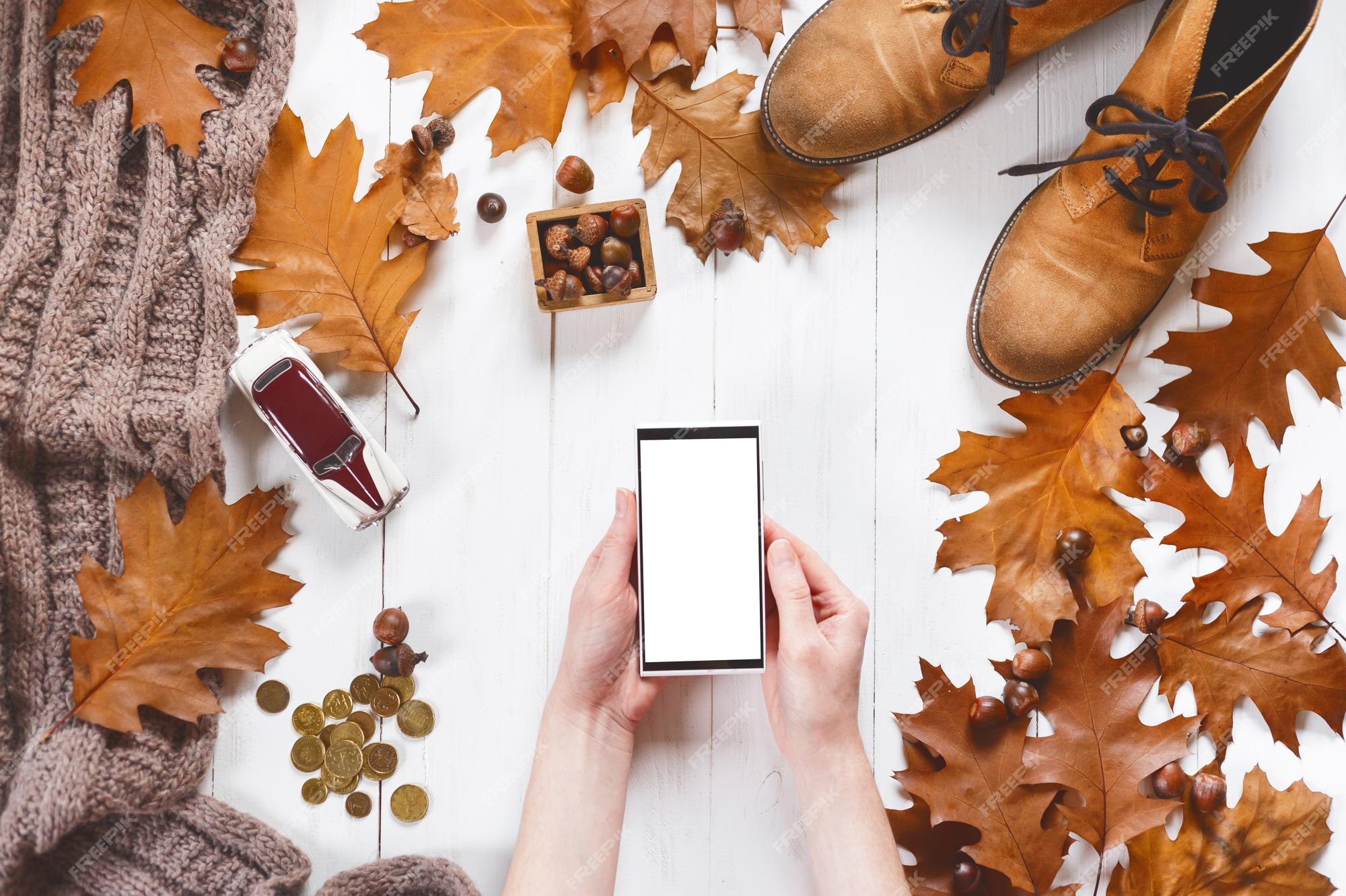 zelf Hectare Recreatie Vrouw handen met smartphone betaalt voor online winkelen met hipster  herfstkleding en accessoires aan | Premium Foto